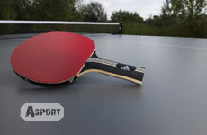 Rakieta, rakietka do tenisa stołowego TOUR CARBON Adidas Table Tennis